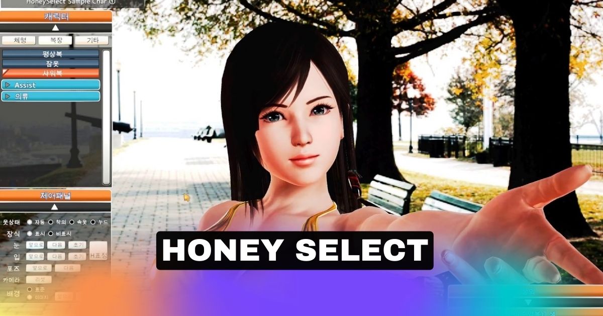 honey select card background