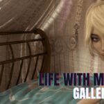 Life with Mary Gallery Mod