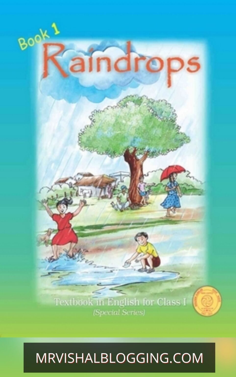 Raindrops English Book For Class 6 Solutions Pdf