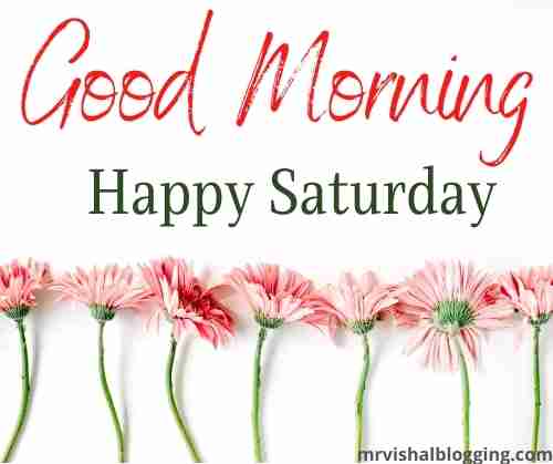 {51+} Good Morning Happy Saturday HD Images, Pictures Download ...