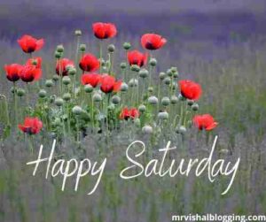 have a great Saturday
