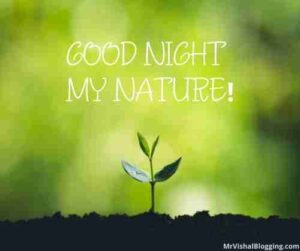 nature good night images