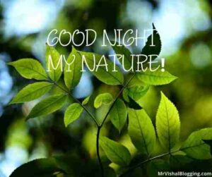 nature good night images