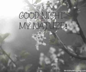 nature good night images