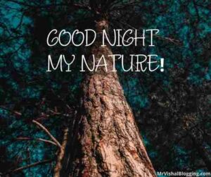 nature good night images