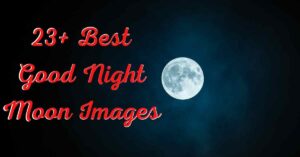 Good Night Moon Images