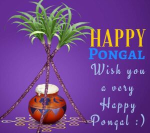 happy pongal hd images free download