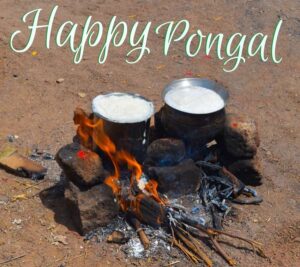 happy pongal 2022 hd images free download