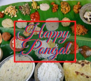 pongal hd images, pongal images with pongal food