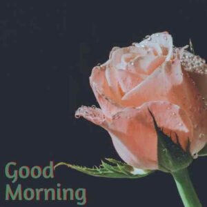 good morning hd images