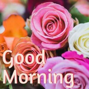 good morning images hd