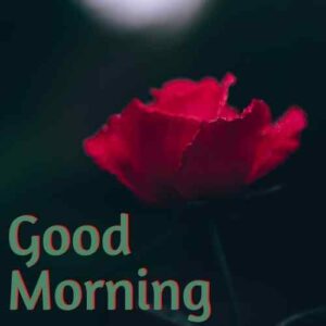 good morning images hd