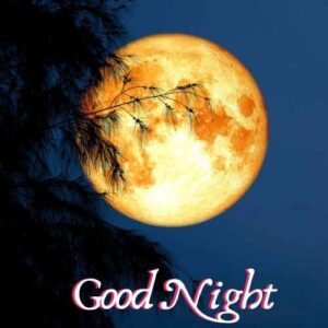 good night with moon