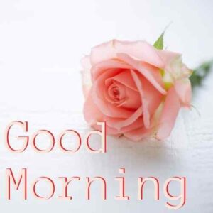 good morning wishes images