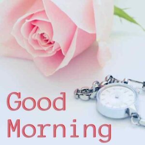 good morning wishes images