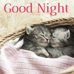 good night hug images