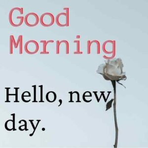 good morning wishes images