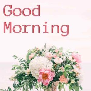 Good Morning Flower Images Free Download