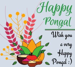 wish you happy pongal images