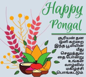 happy pongal wishes images in tamil