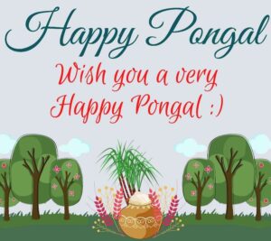 happy pongal wishes images