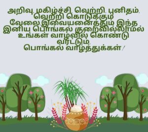 wish you happy pongal images in tamil