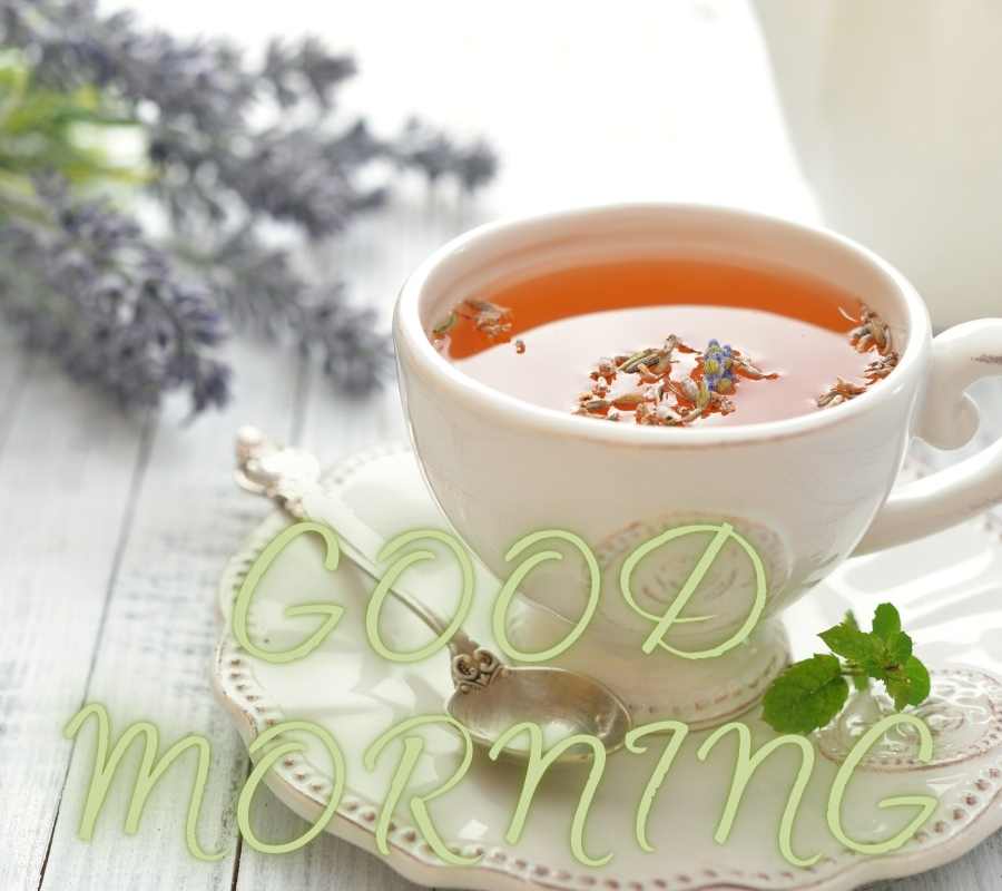 {50+} Good Morning Tea HD Images, Pictures, Photos Download