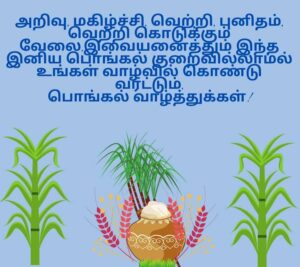 happy pongal hd photos free download