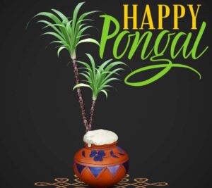 happy pongal pictures download