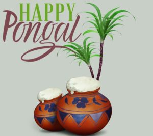 happy pongal pictures free download