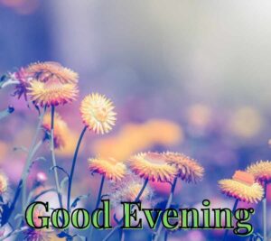 good evening wishes images