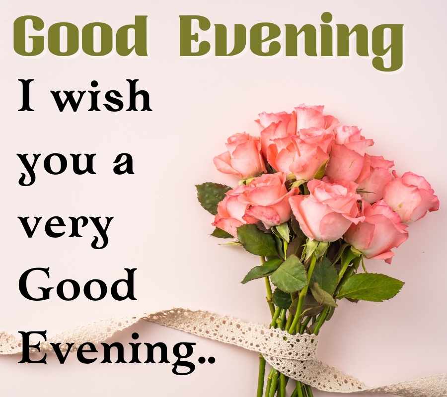 Good Evening Images With Rose HD Rose Flowers Evening Pics