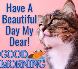 good morning kitten images