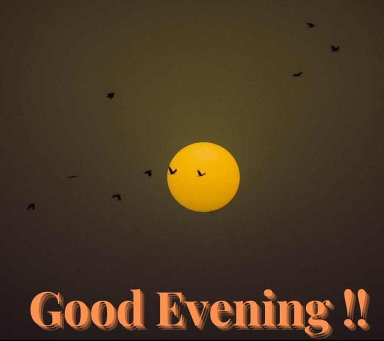 Good Evening Wishes Images HD Images For Whatsapp To Download