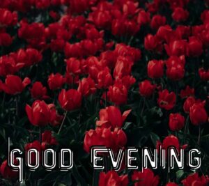 good evening images hd