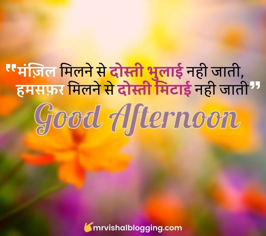 Lovely Good Afternoon Images In Hindi for Whatsapp Download