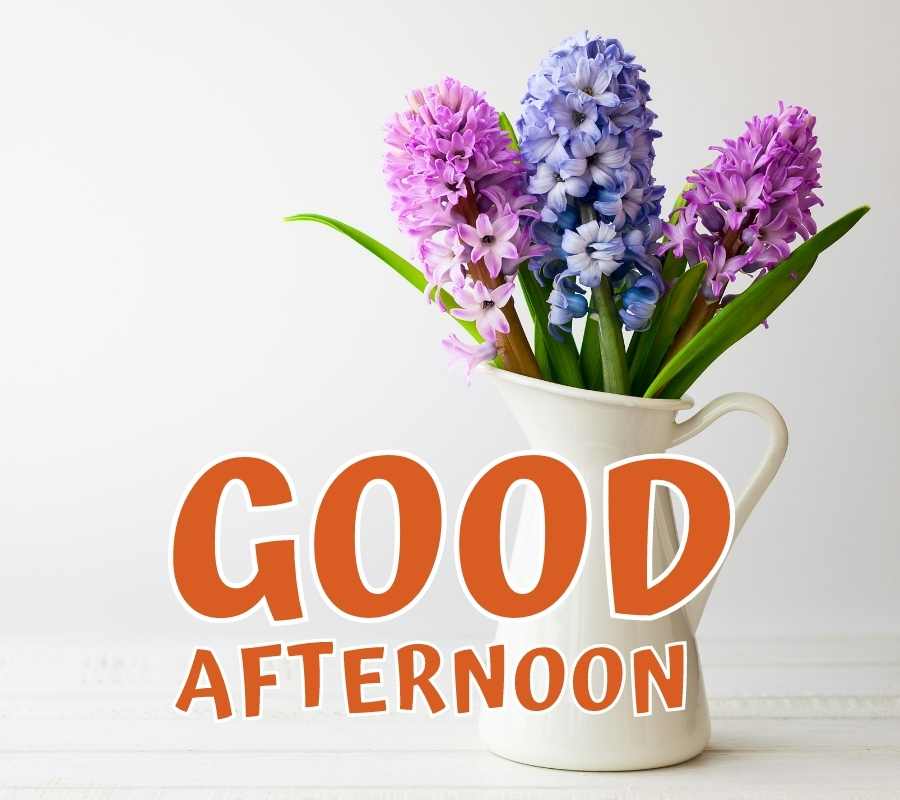 good afternoon wallpaper download