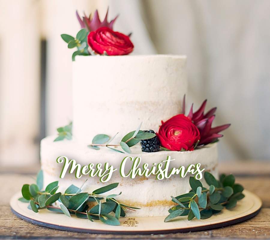 Merry Christmas cake Images with quotes