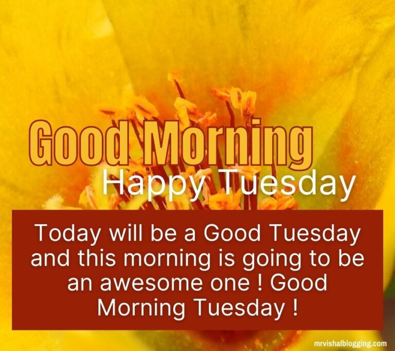 Happy Tuesday Good Morning Images With Quotes HD Download