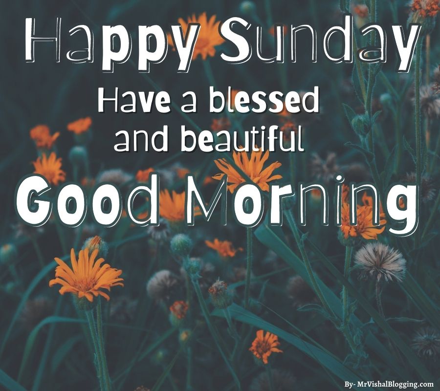 Happy Sunday Good Morning images HD With Quotes Free Download