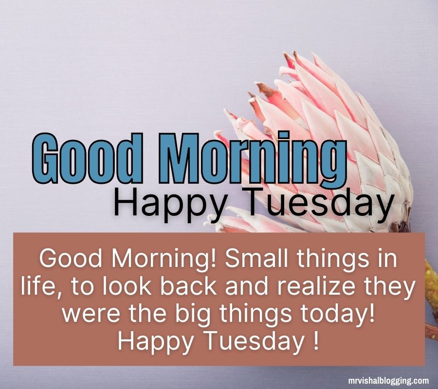 Happy Tuesday Good Morning Images With Quotes HD Download