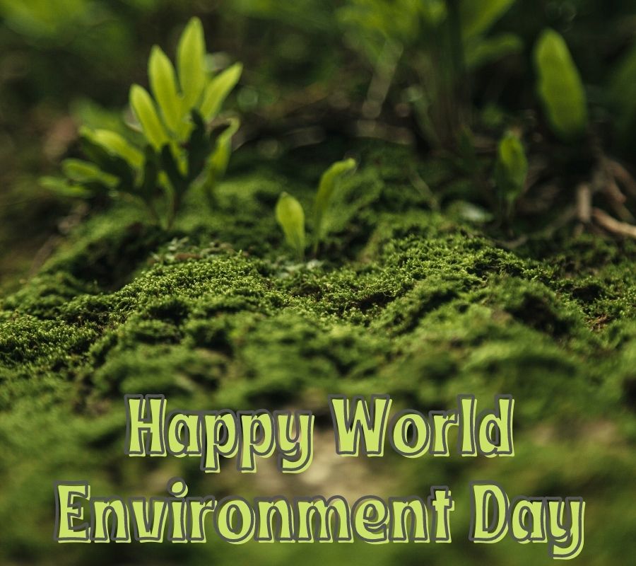 Happy World Environment Day Images 2021 HD Download BEST