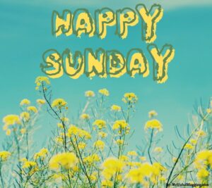 happy sunday images hd download