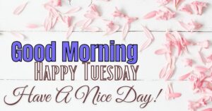 Happy Tuesday Good Morning Images With Quotes HD Download