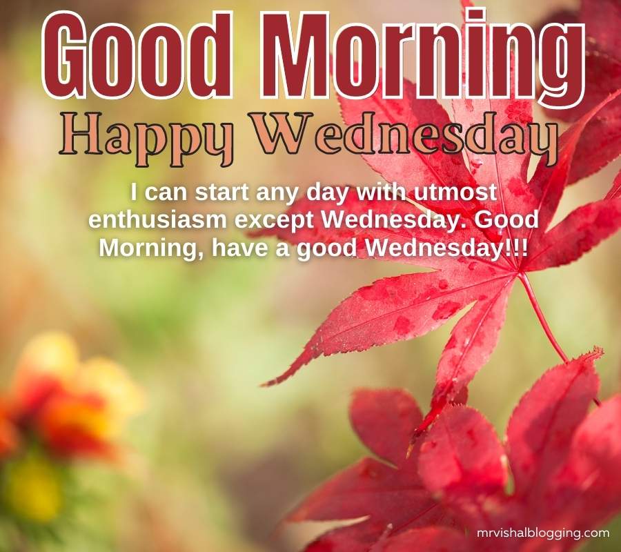 Good Morning Happy Wednesday Images And Quotes HD Download