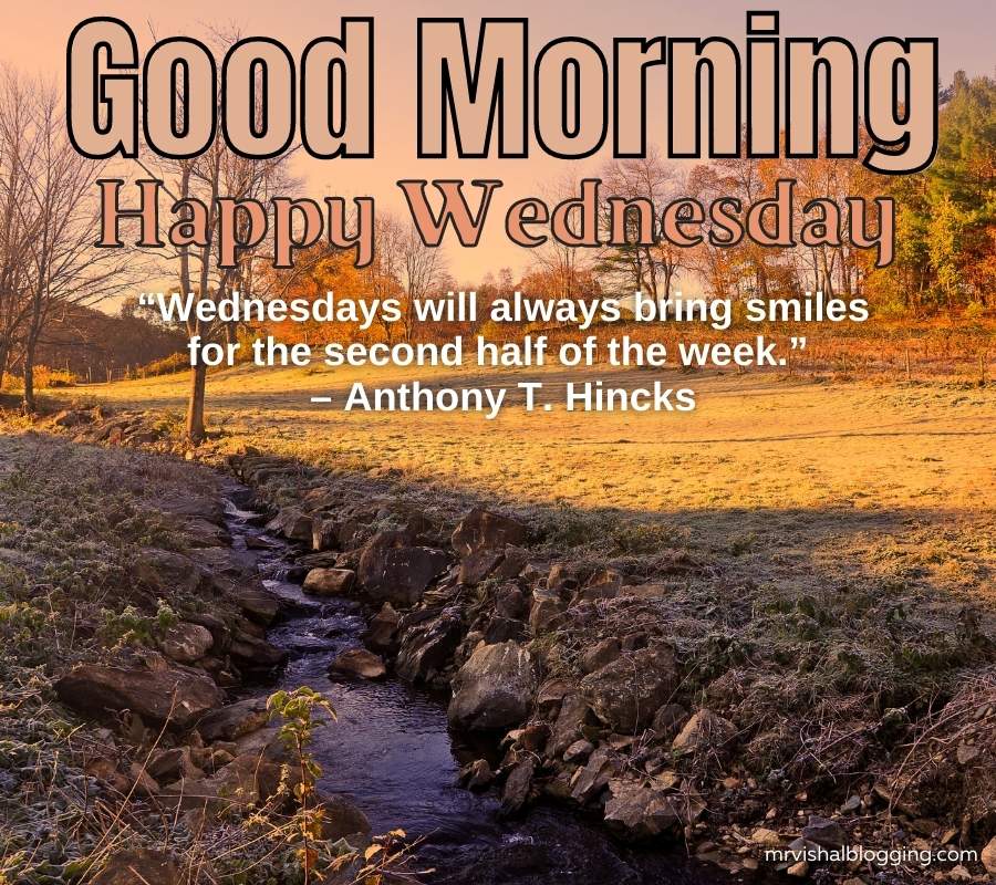 Good Morning Happy Wednesday Images And Quotes HD Download