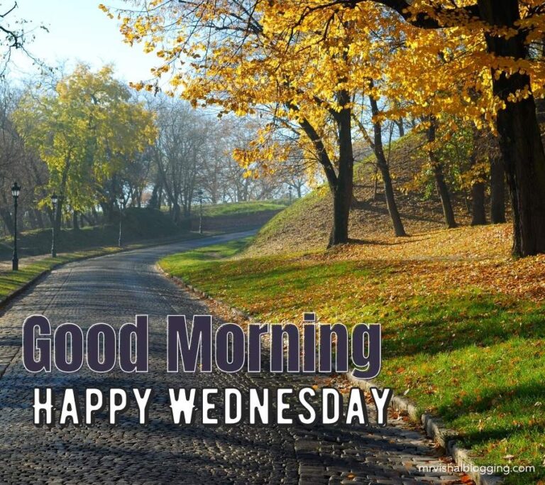 Good Morning Happy Wednesday Images And Quotes HD Download