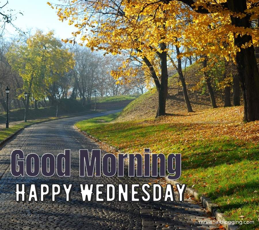 Good Morning Happy Wednesday Images And Quotes HD Download