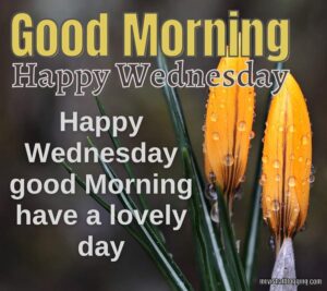 Good Morning Happy Wednesday Images Download