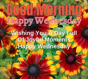 Good Morning Happy Wednesday Images And Quotes